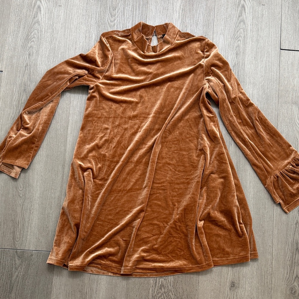 Very J Long Sleeve Velvet Dress in Rust
